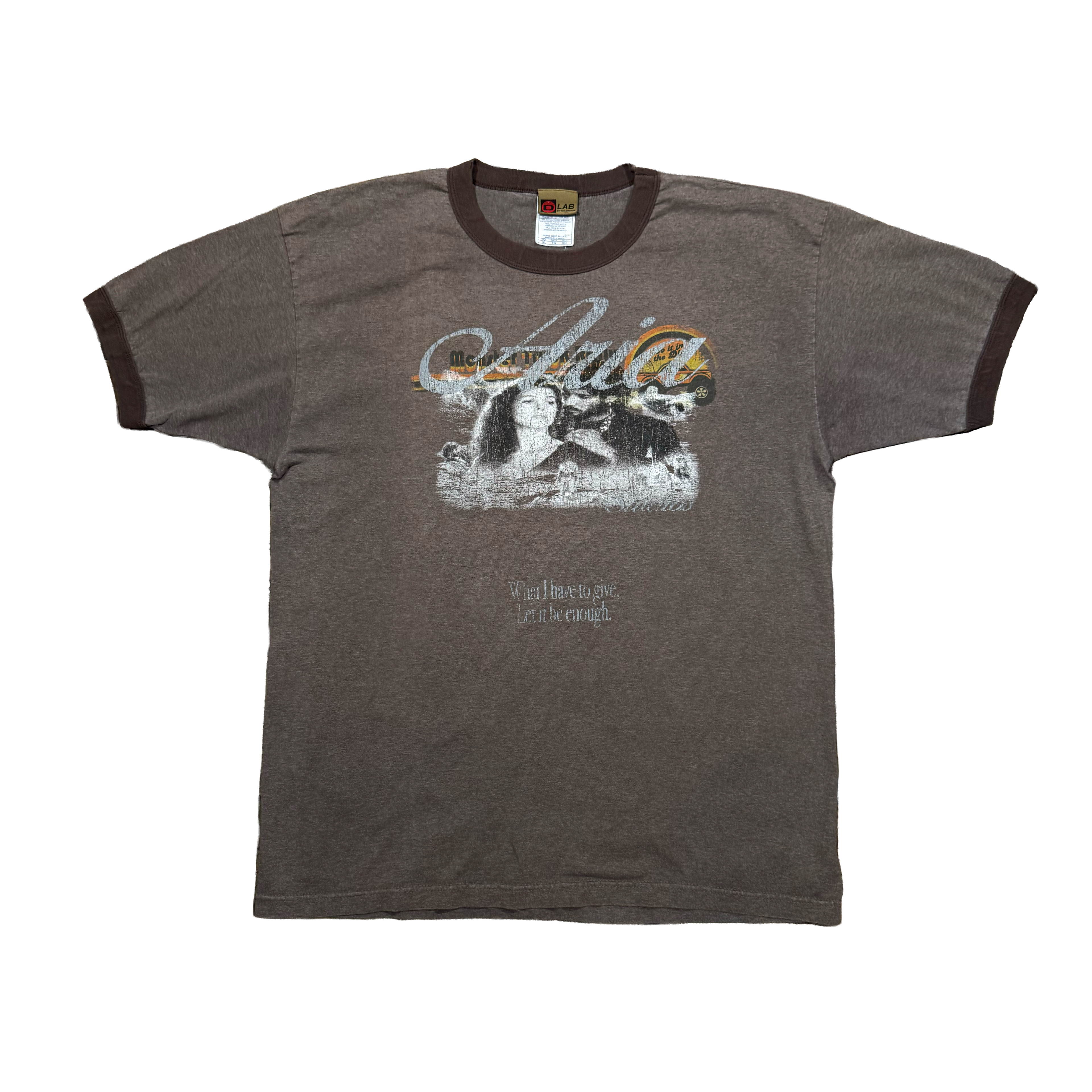 Monster Truck (BROWN)
